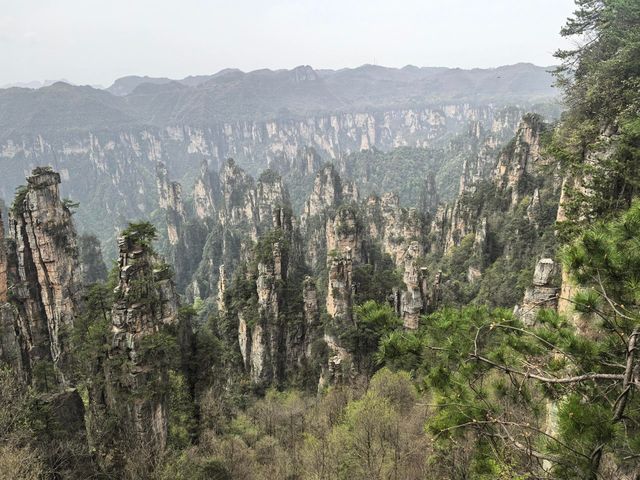 奇峰入畫‧雲海滌心：張家界國家森林公園的仙俠秘境之旅