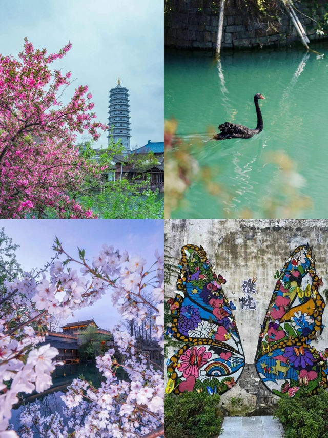 五一反向旅遊之濮院之旅