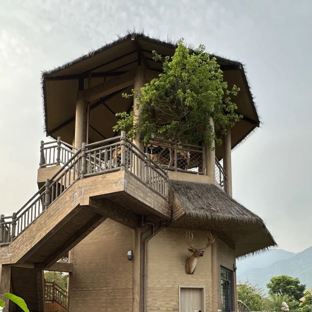 天！在廣州周邊挖到神仙秘境樹屋！美到像異世界🧚‍♀️