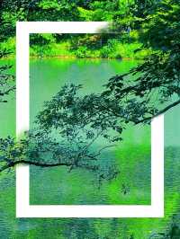 青綠山水重啟生命程序 | 杭州四月天私藏路線