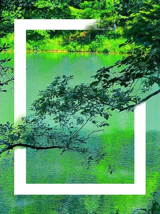 青綠山水重啟生命程序 | 杭州四月天私藏路線