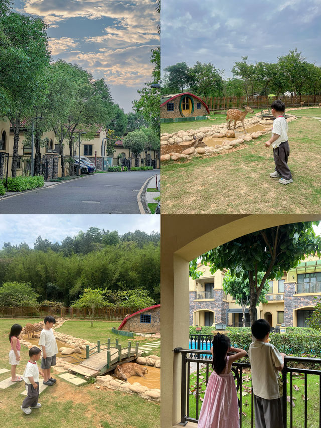 周末遛娃聖地！住進廣東威尼斯泳道