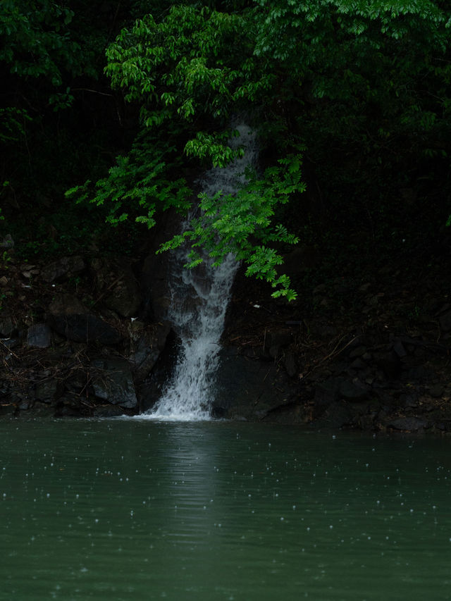 臨安潛川 | 雨天好適合躺在山裡
