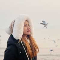 Seagulls and Sunset at Zhanqiao Pier 🧡 