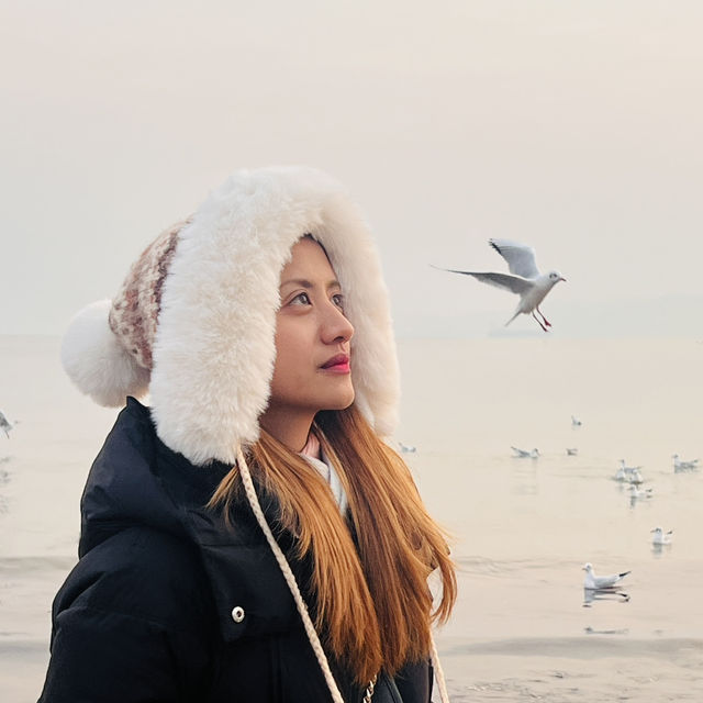 Seagulls and Sunset at Zhanqiao Pier 🧡 