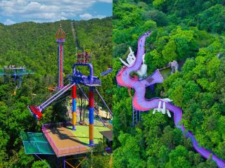 I absolutely love this forest outdoor park.