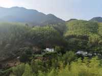 黃山·雲上，一個來了就想多駐足的地方