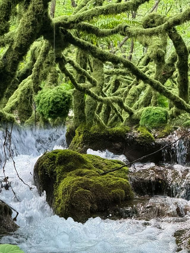 夏天短暫避暑好去處—洛陽