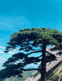 李白誠不欺我，比起黃山我更愛這座仙山