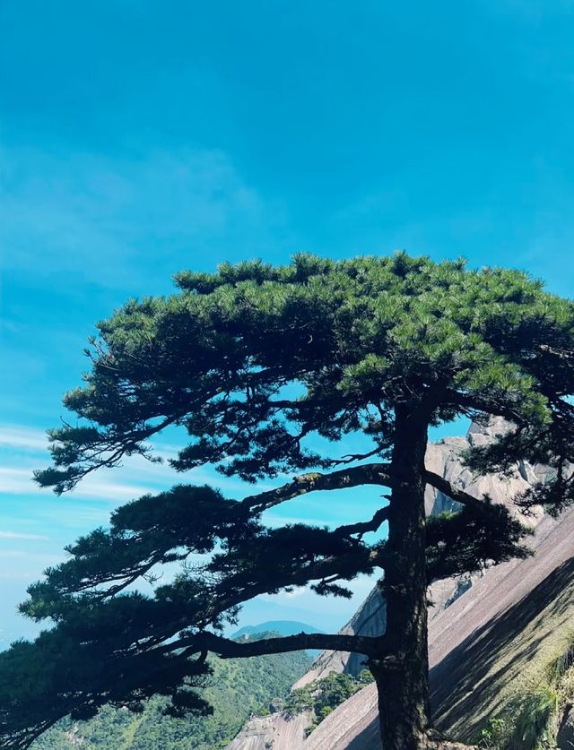 李白誠不欺我，比起黃山我更愛這座仙山