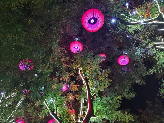 開啟長安夢幻之旅-大唐不夜城