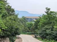 登山，由西山國家森林公園穿越至八大處公園。