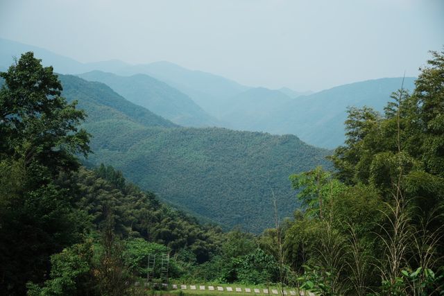 雲端之上的隱逸之境