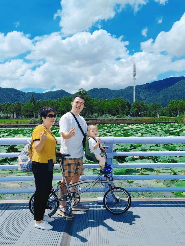 寧波東錢湖 | 一場風與自由的環湖單車遊