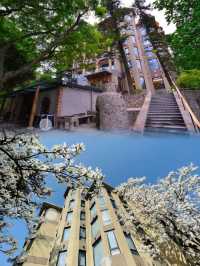 莫干山天籟之夢，邂逅日出雲海之美