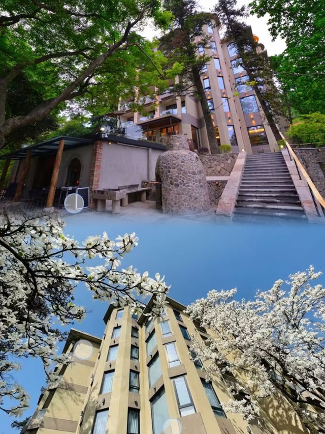莫干山天籟之夢，邂逅日出雲海之美