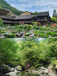 泰順好靚，但唔建議6月去，因為……