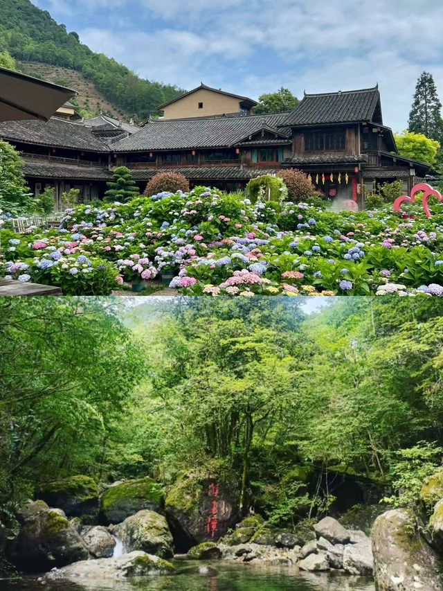 泰順好靚，但唔建議6月去，因為……