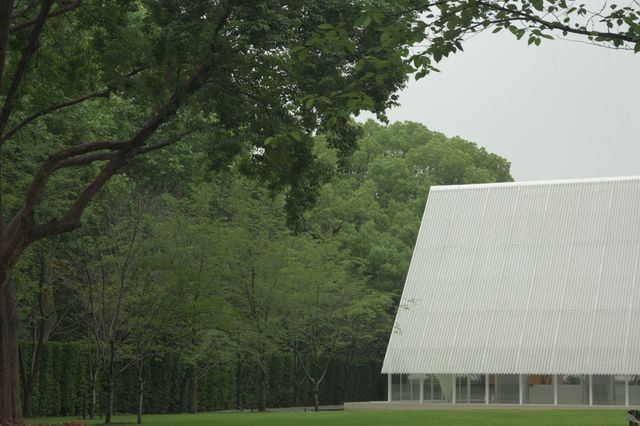 上海の魯迅公園の中にある現代和モダンの落ち着いたカフェでのんびりと