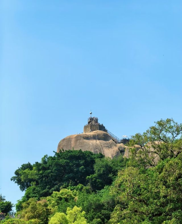 日光岩之旅，邂逅錦江溫馨時光