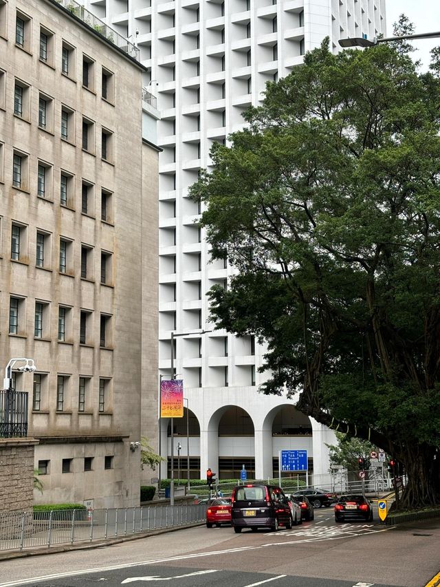暴走中環！解鎖建築大師嘅光影密碼，舌尖與視覺雙重暴擊
