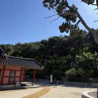 우리나라에 몇 없는 행궁이 수원에 있어요‼️