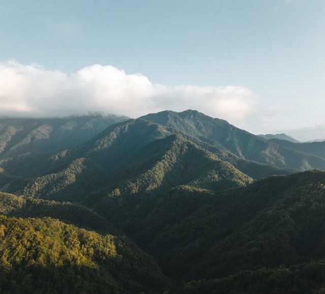 白雲山旅遊攻略：探尋羊城第一秀