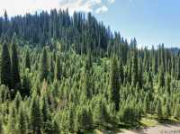 Not many people have been to these beautiful places in Xinjiang