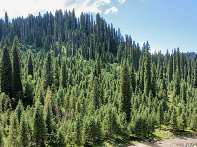Not many people have been to these beautiful places in Xinjiang