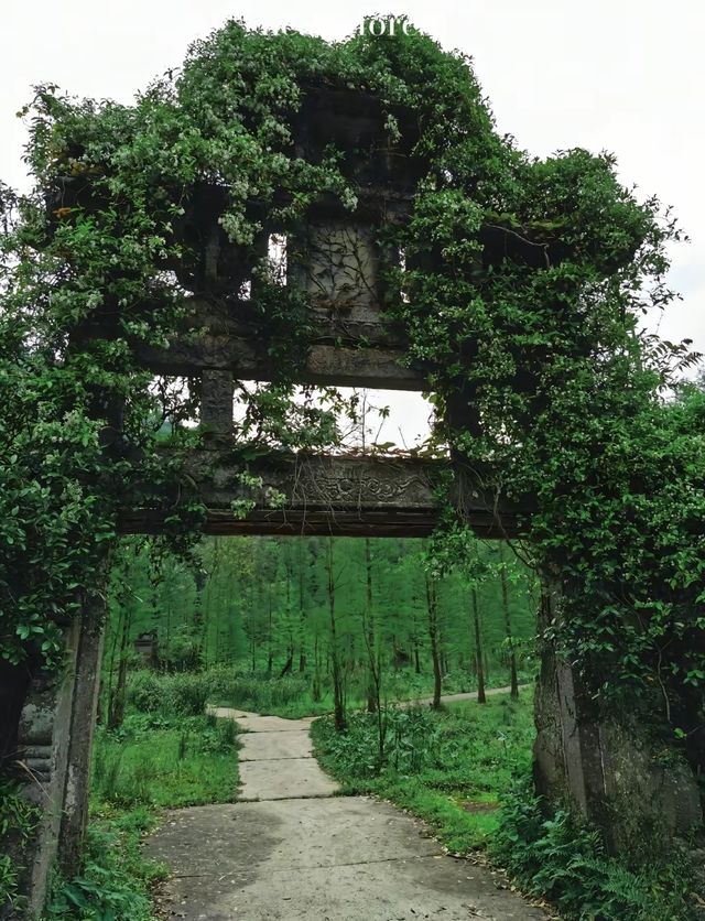 逃離人潮！攜程私藏旅拍地，承包你的詩意與遠方