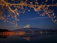 富士山河口湖小眾玩法 水上路線公開！