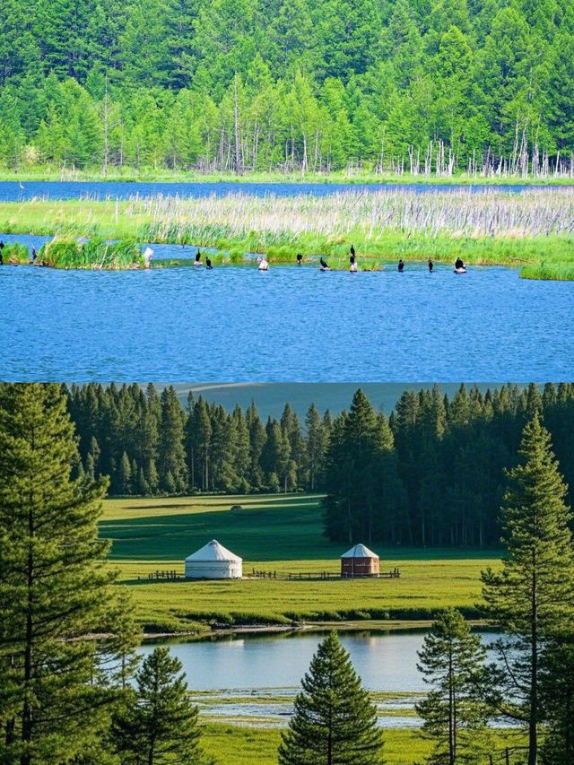 暑假反向旅行！被低估嘅阿爾山大草原，22℃清涼避暑一流！