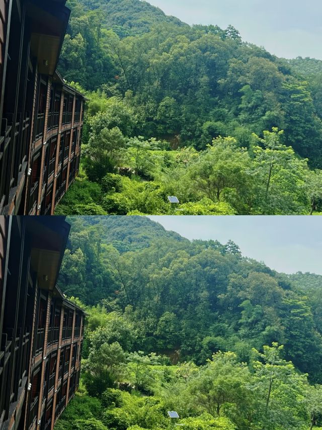 廣佛1小時直達！呢個小眾瑞士風度假區靚到犯規