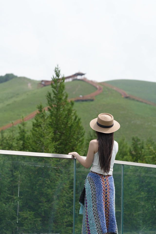 救命！喺七彩森林發現咗16℃嘅避暑天花板！附保姆級玩法 寶貝們！挖到壩上草原嘅清涼秘境喇！ 4A級