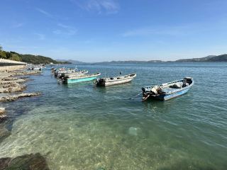 Guangdong Shanwei Travel Guide