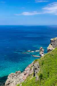 北海道夏日花海，每一幀都似電腦壁紙