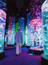 28℃避暑天堂！舟山長喬海洋館2日1夜全攻略