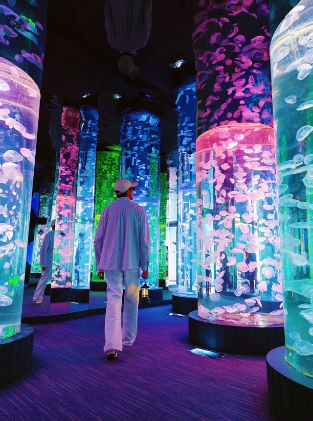28℃避暑天堂！舟山長喬海洋館2日1夜全攻略
