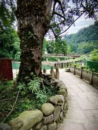 西嶺山腳下嘅暑日清涼，斜源古鎮半日閒遊。