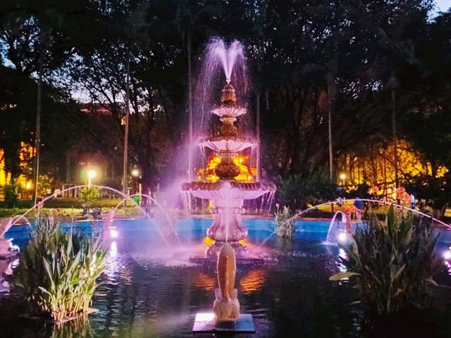 Shanghai After Dark: Exploring the City's Enchanting Nighttime Parks and Walking Streets