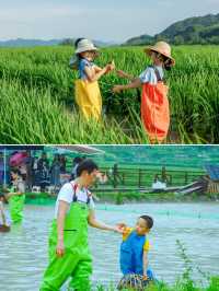 暑期必衝！貴州23℃親子遊，住避世景觀酒店