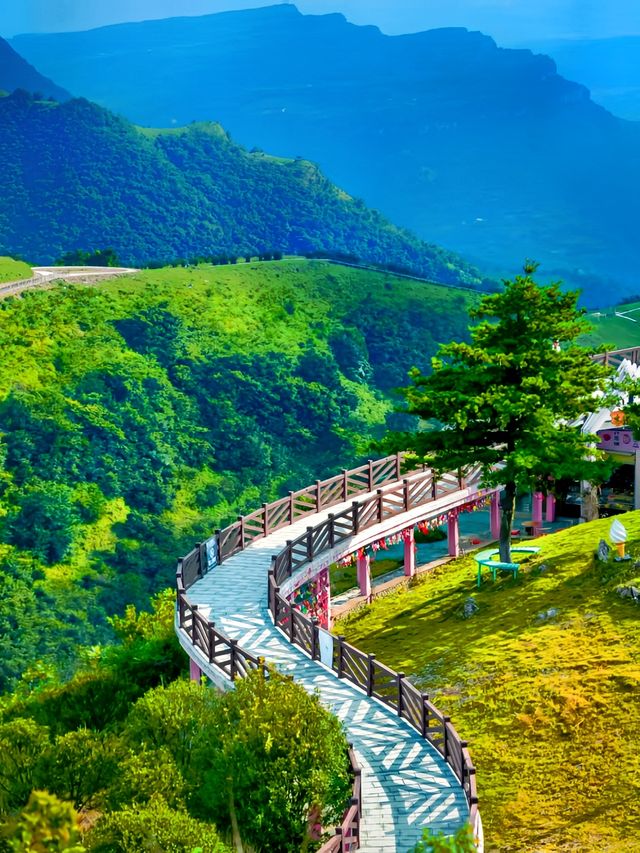 宜昌百里荒：23℃秘境藏草原，三國風雲與山楂樹浪漫交織