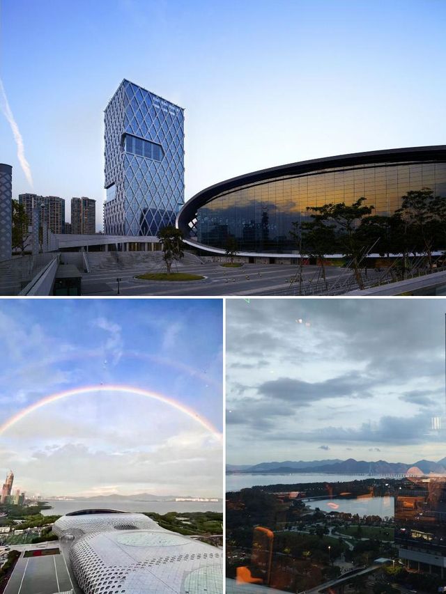 深圳灣木棉花，海景打卡聖地！