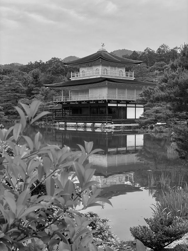 Kyoto’s Charm: Where Culture, Nature, and History Collide