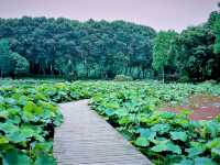 Exploring Yiwu’s Best Jogging Trails: A Runner’s Paradise