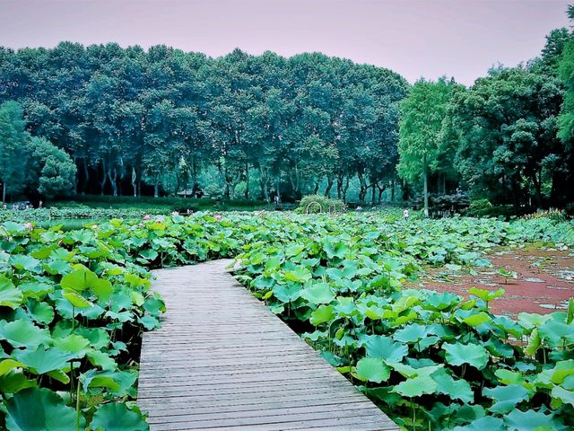 Exploring Yiwu’s Best Jogging Trails: A Runner’s Paradise