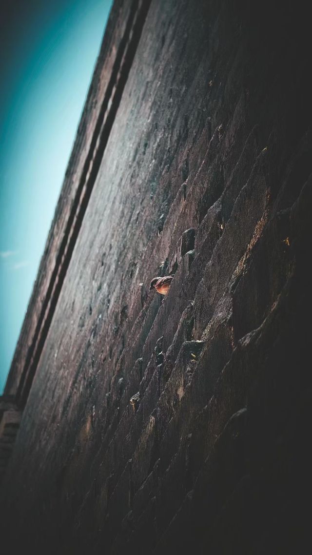 看到光了嘛?它在歌唱,唱一首歌的孩子…… 看到光了嘛?它在歌唱,唱一首歌的孩子……