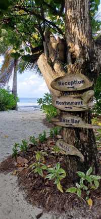 Tropical Beachfront Bliss