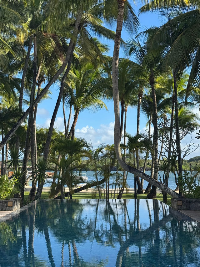 A Dreamlike Escape