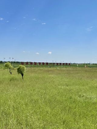 Song of the Grassland - Shenmulin Rabbit Grassland